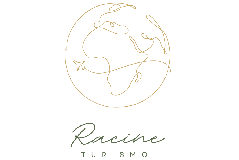 Racine Turismo